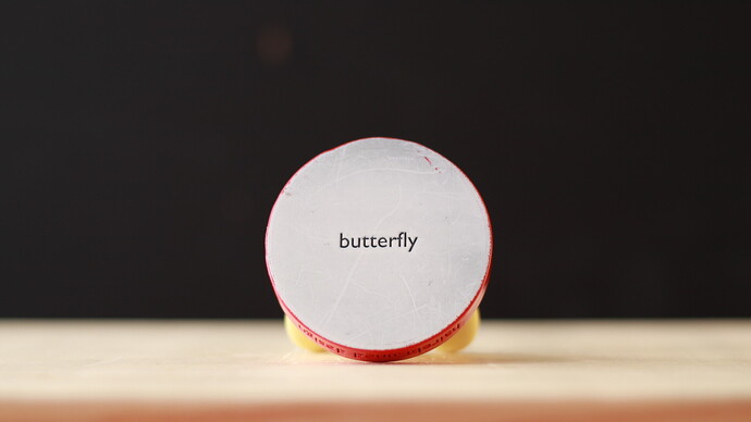 Butterfly Name Reveal