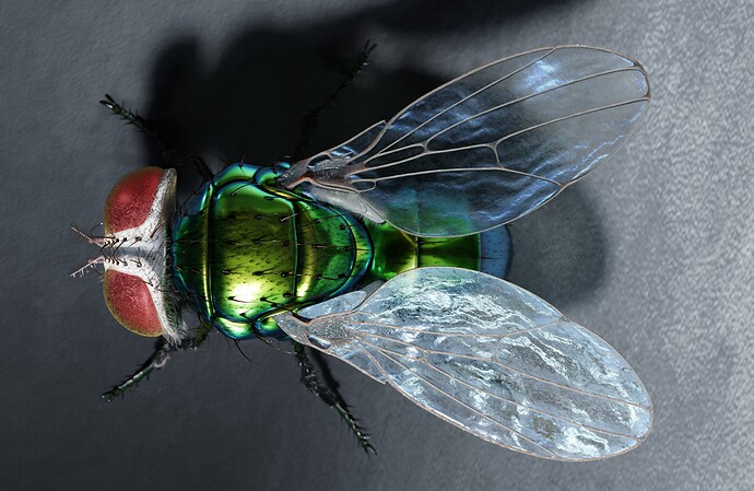 fly04
