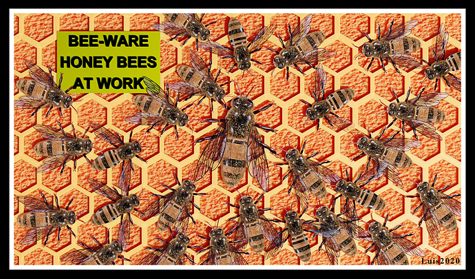 Honey bees at work final