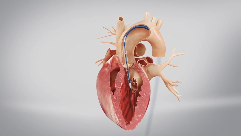 Human Heart - Paid Work - Blender Artists Community