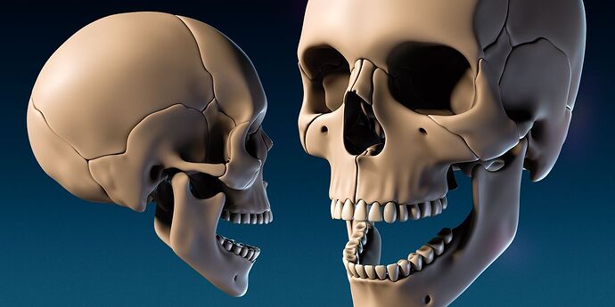 parts_skull_rend_02