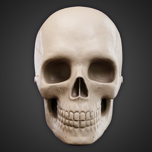 Skull 7