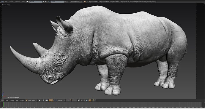 Rhino_02