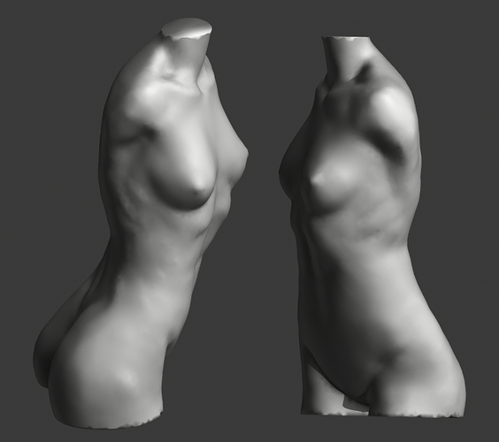 female%20torso