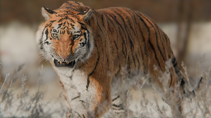 Tiger Prowl