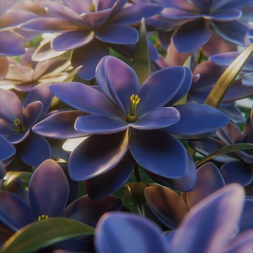 Alex_Vainboim: Evening flowers