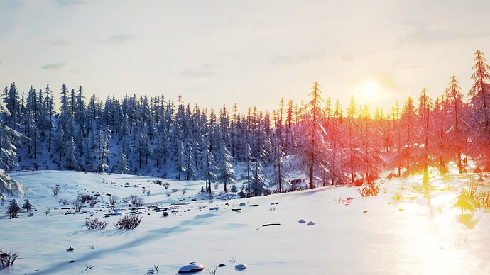 Winter Forest 14