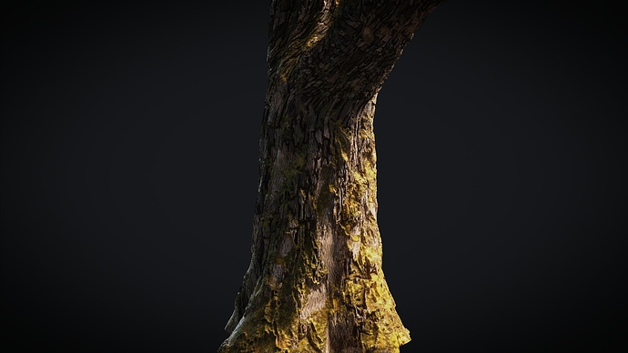 procedural bark closeup
