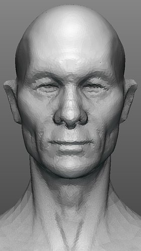 Head Sculpt - Focused Critiques - Blender Artists Community