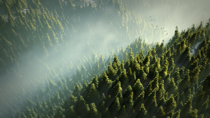 FogForest_style
