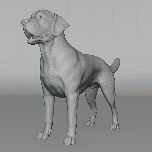Dog_Golden_04