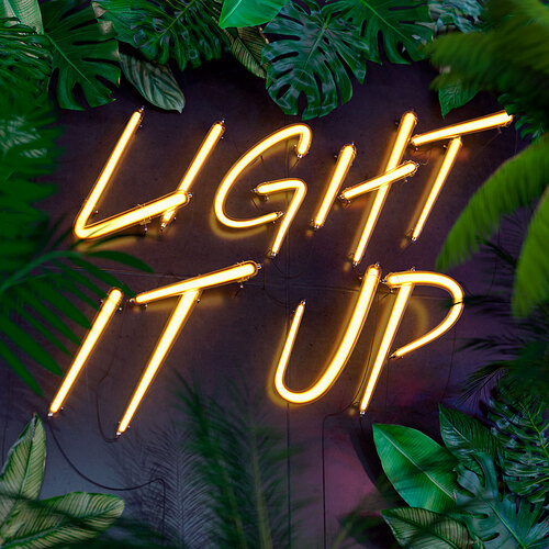 light-it-up-plants