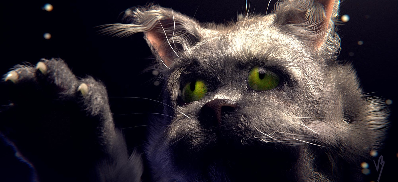 2.74 Cat Splash Contest! - Latest News - Blender Artists Community