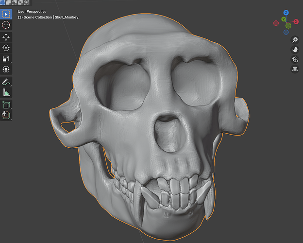 Monkey skull