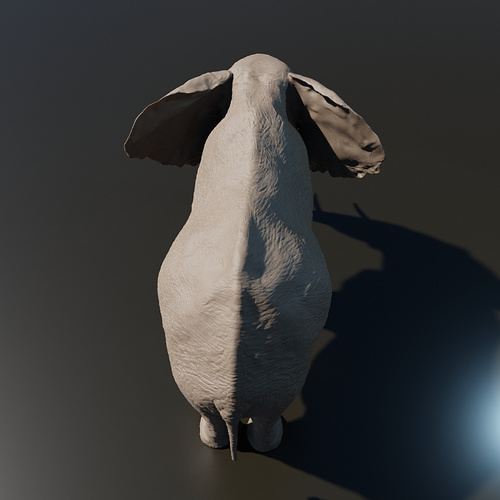 elefante_top_a
