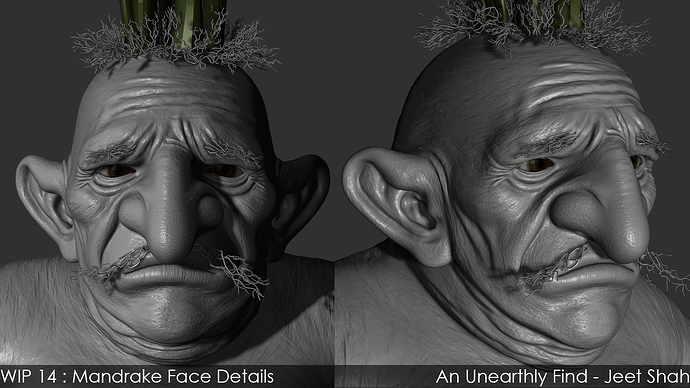 14_3_Mandrake_Face_Details