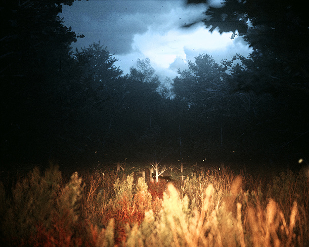 TheGleaning_DavidZerba
