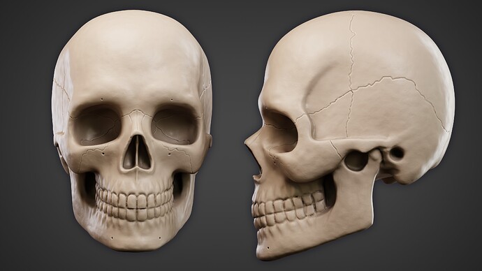Skull 12