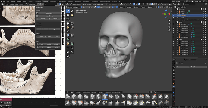 Sculpt 183 Skull and Muscles 21-09-2026 pt 1