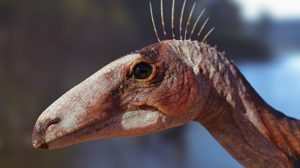 Silesaurus opolensis - Finished Projects - Blender Artists Community