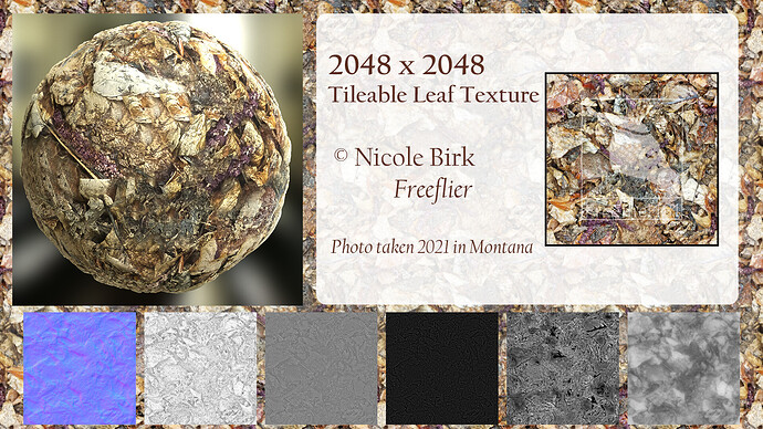 Leaf Texture - Nicole Birk