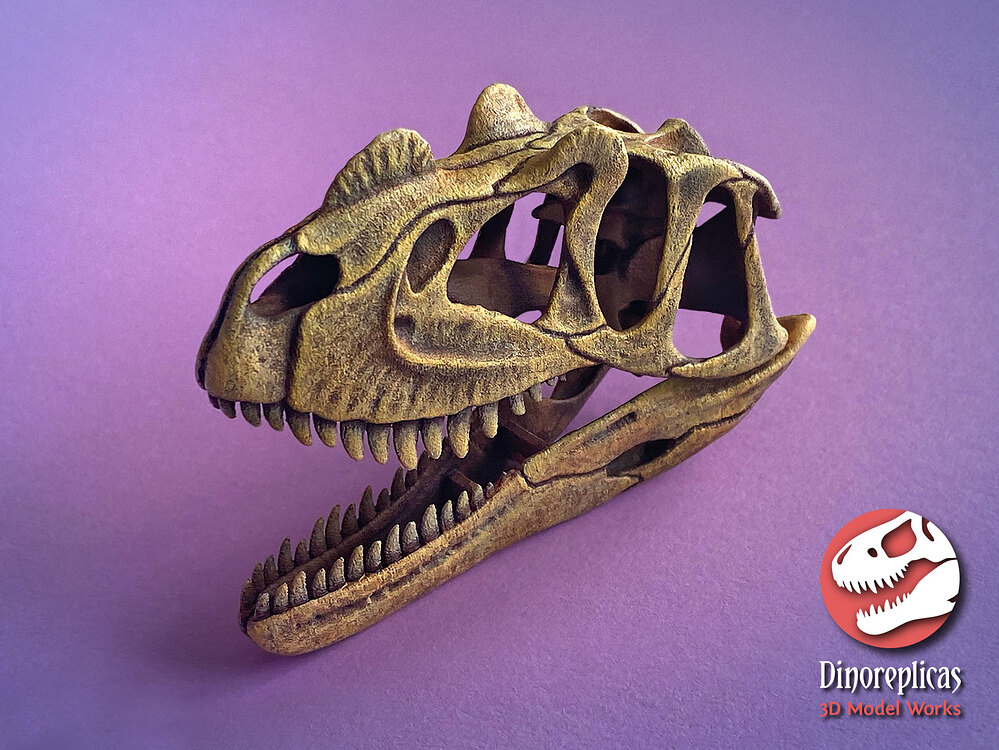 3D Printed Ceratosaurus Skull - Finished Projects - Blender Artists ...