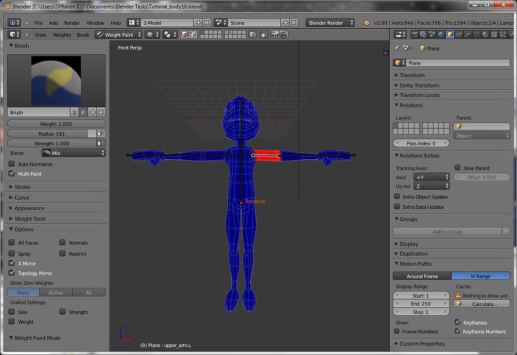 X Mirror Option Fails When Weight Painting - Basics & Interface ...