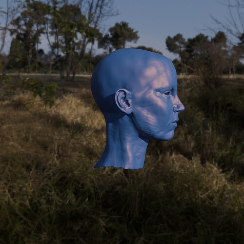 roughsculpt3