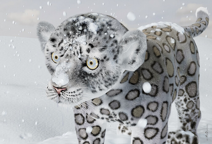 MxD-SnowLeopardCub-cam2_2