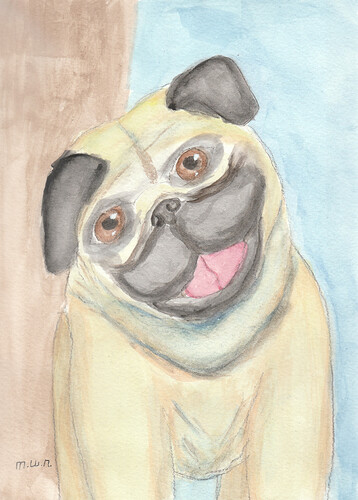 Happy Pug