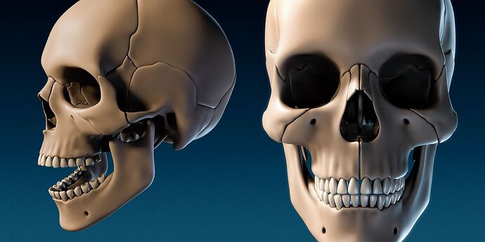 parts_skull_rend_01