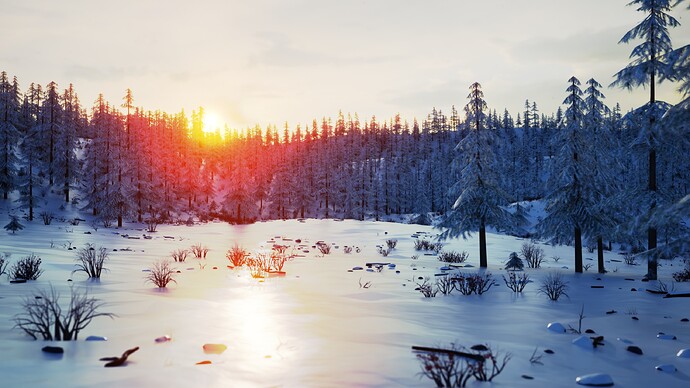 Winter Forest 15