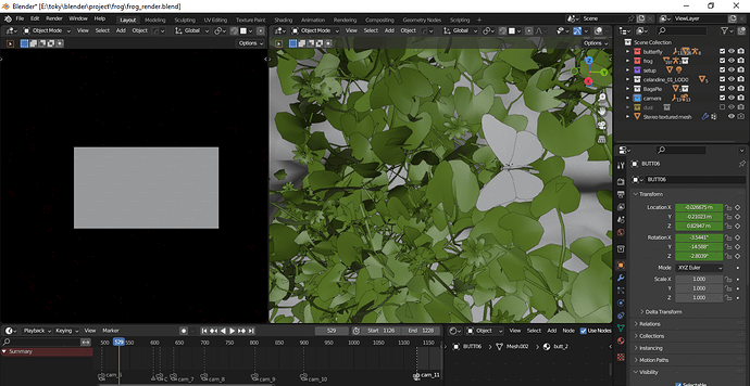 butterfly
