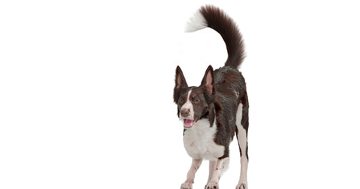 BexRender5 copy