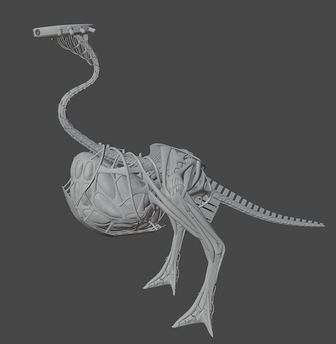 Body 03