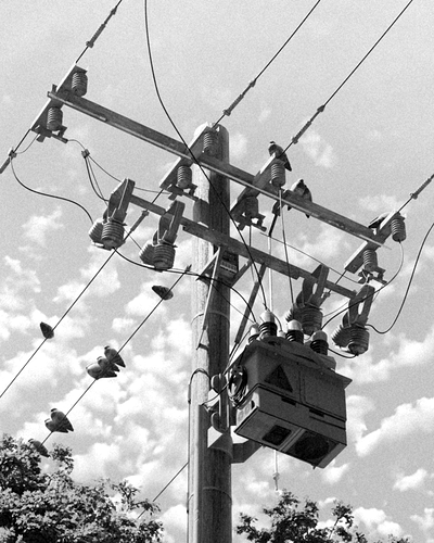 Telephone pole BW_1.1.2