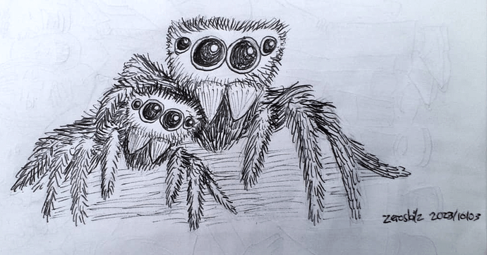 02-spiders pen