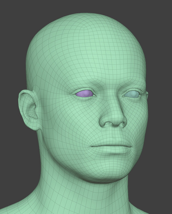 Is my retopology ok? - Modeling - Blender Artists Community