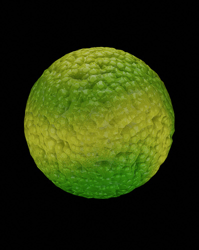 Procedural%20Reptile%20Skin