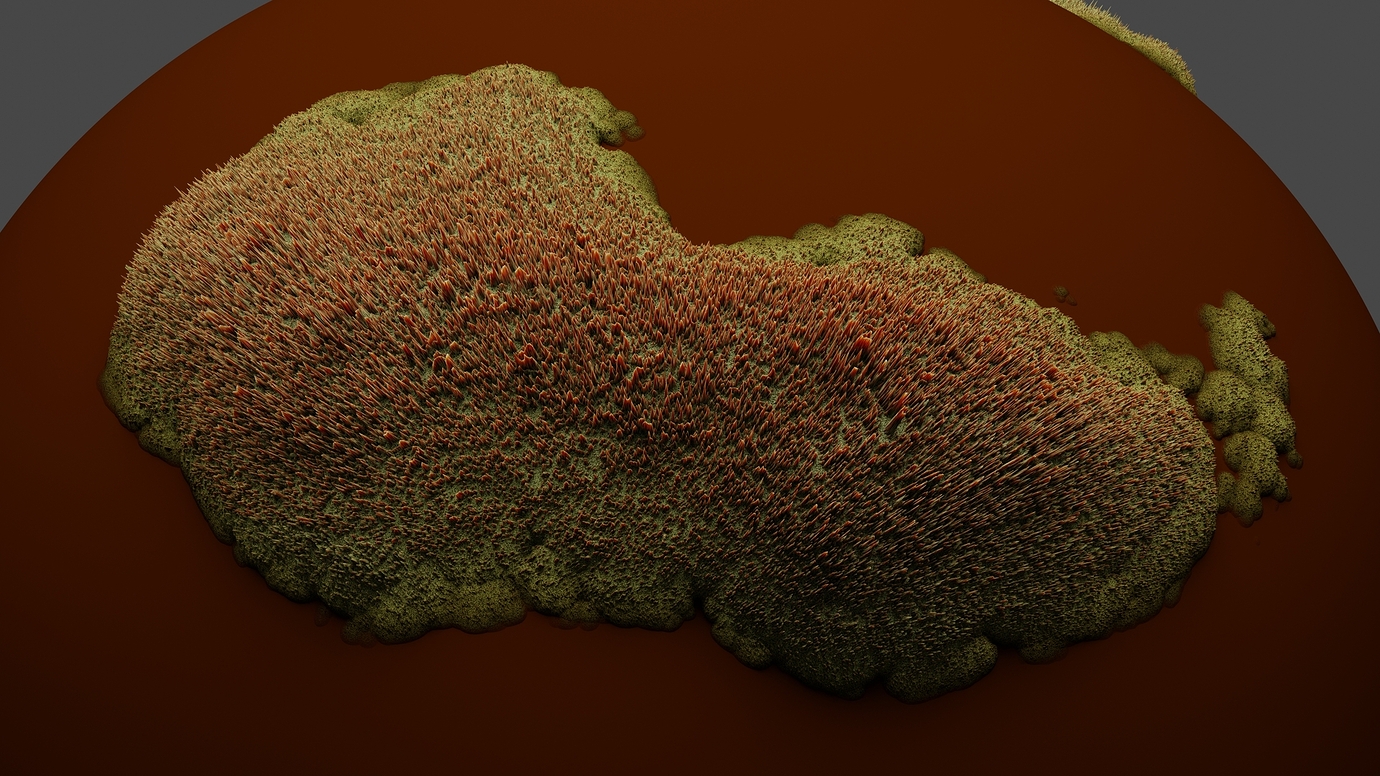Control Voronoi distribution (cell size) with second texture - #27 by ...