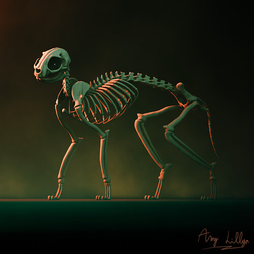 Skeleton Cat 2
