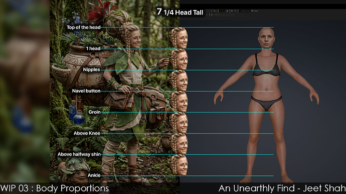 03_BodyProportions