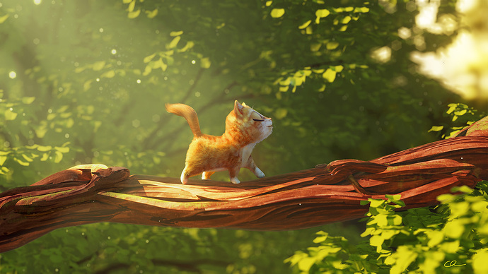 tabbycat_schristoph_001