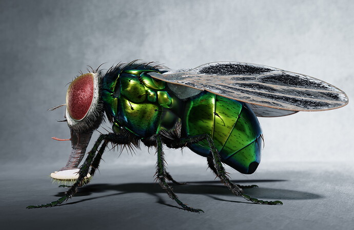 fly03
