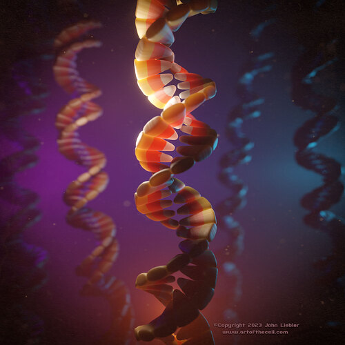 CandycornDNA-V2