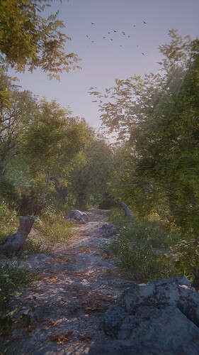 Forest_path