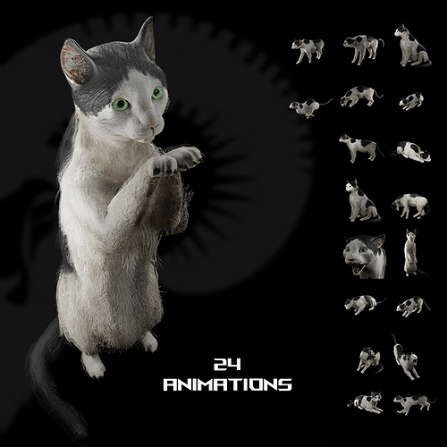 BW Cat P2