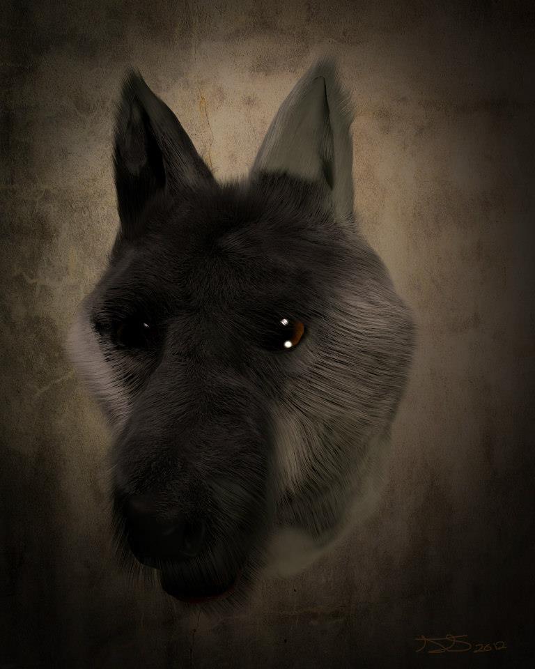Maikan (Wolf) - Finished Projects - Blender Artists Community