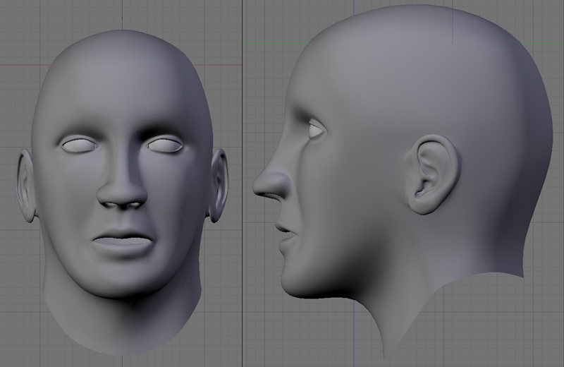 Human head - Works in Progress - Blender Artists Community