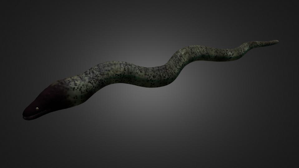 Moray Eel (blender Guru Underwater Competition) - Works In Progress 